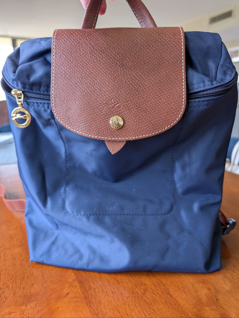 Longchamp Navy and Brown Nylon Backpack with Leather Flap